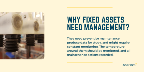6 Types of Asset Management Explained | GoCodes