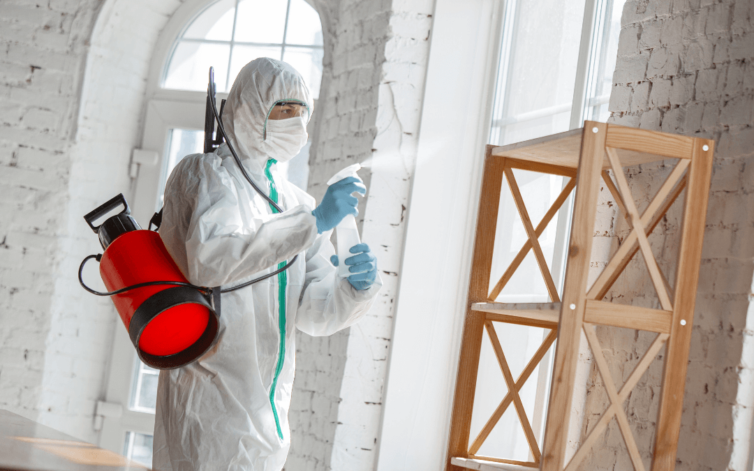 How to Manage Mold Remediation Tools and Equipment