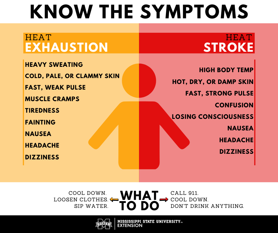 How to Protect Your Construction Team From Heat Stress